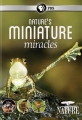 Миниатюрные чудеса - Nature°s Miniature Miracles