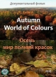 Осень – мир, полный красок - Autumn World of Colours