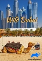 Животный мир Дубая - Wild Dubai