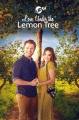     - Love Under the Lemon Tree