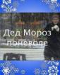 Дед Мороз поневоле - Ded moroz ponevole